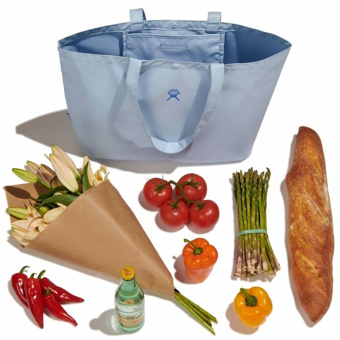 20 L Tag Along Tote Sandpiper