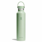 24 oz Standard Mouth Aloe