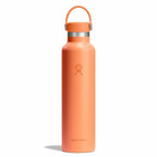 24 oz Standard Mouth Nectar Orange
