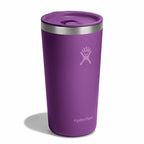 20 oz All Around™ Tumbler Beachplum Purple