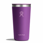 20 oz All Around™ Tumbler Beachplum Purple