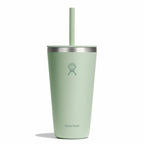 28 oz All Around™ Tumbler with Straw Lid Aloe